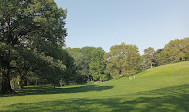 Merkezi Park