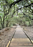 Parque Rural de Anaga