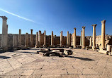 The Archaeological Site of Jerash