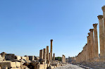 The Archaeological Site of Jerash