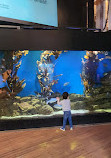 Cabrillo Marine Aquarium