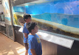 Cabrillo Marine Aquarium