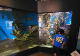 Cabrillo Marine Aquarium