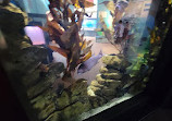 Cabrillo Marine Aquarium