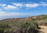 Torrey Pines State Natural Reserve