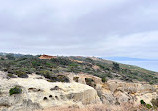 Torrey Pines State Natural Reserve