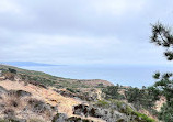 Torrey Pines State Natural Reserve