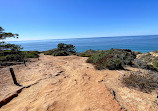 Torrey Pines State Natural Reserve