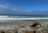 Torrey Pines State Natural Reserve