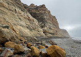 Torrey Pines State Natural Reserve