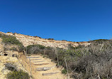 Torrey Pines State Natural Reserve