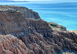 Torrey Pines State Natural Reserve