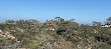 Torrey Pines State Natural Reserve