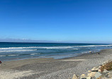 Torrey Pines State Natural Reserve