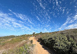 Torrey Pines State Natural Reserve