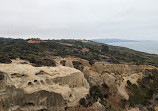 Torrey Pines State Natural Reserve