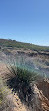 Torrey Pines State Natural Reserve