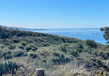 Torrey Pines State Natural Reserve