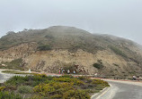 Torrey Pines State Natural Reserve