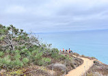 Torrey Pines State Natural Reserve