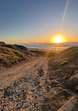 Torrey Pines State Natural Reserve