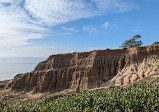 Torrey Pines State Natural Reserve