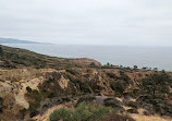 Torrey Pines State Natural Reserve