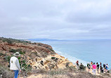 Torrey Pines State Natural Reserve