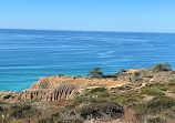 Torrey Pines State Natural Reserve