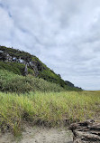 Pacific Beach State Park