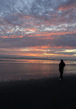 Pacific Beach State Park