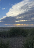 Pacific Beach State Park