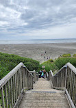 Pacific Beach State Park