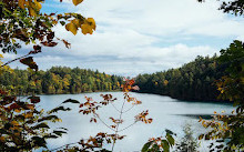 Gatineau Park Yolu