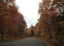 Gatineau Park Yolu