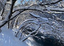 Gatineau Park Yolu