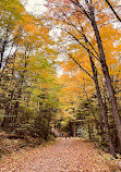 Gatineau Park Trail