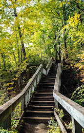 Gatineau Park Yolu