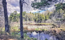 Parque Gatineau P8