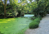 Fullersburg Woods Nature Education Center