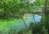 Fullersburg Woods Nature Education Center