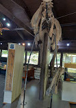 Fullersburg Woods Nature Education Center