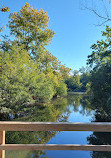 Fullersburg Woods Nature Education Center