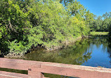 Fullersburg Woods Nature Education Center