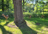 Fullersburg Woods Nature Education Center