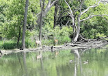 Fullersburg Woods Nature Education Center