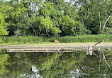 Fullersburg Woods Nature Education Center