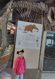 Fullersburg Woods Nature Education Center