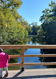 Fullersburg Woods Nature Education Center