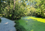 Fullersburg Woods Nature Education Center